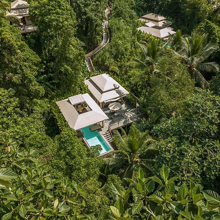 Kanva Ubud Tegallalang  Pokoj fotografie