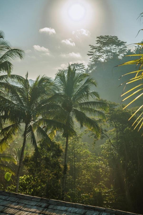 Kanva Ubud Tegallalang  Exteriér fotografie