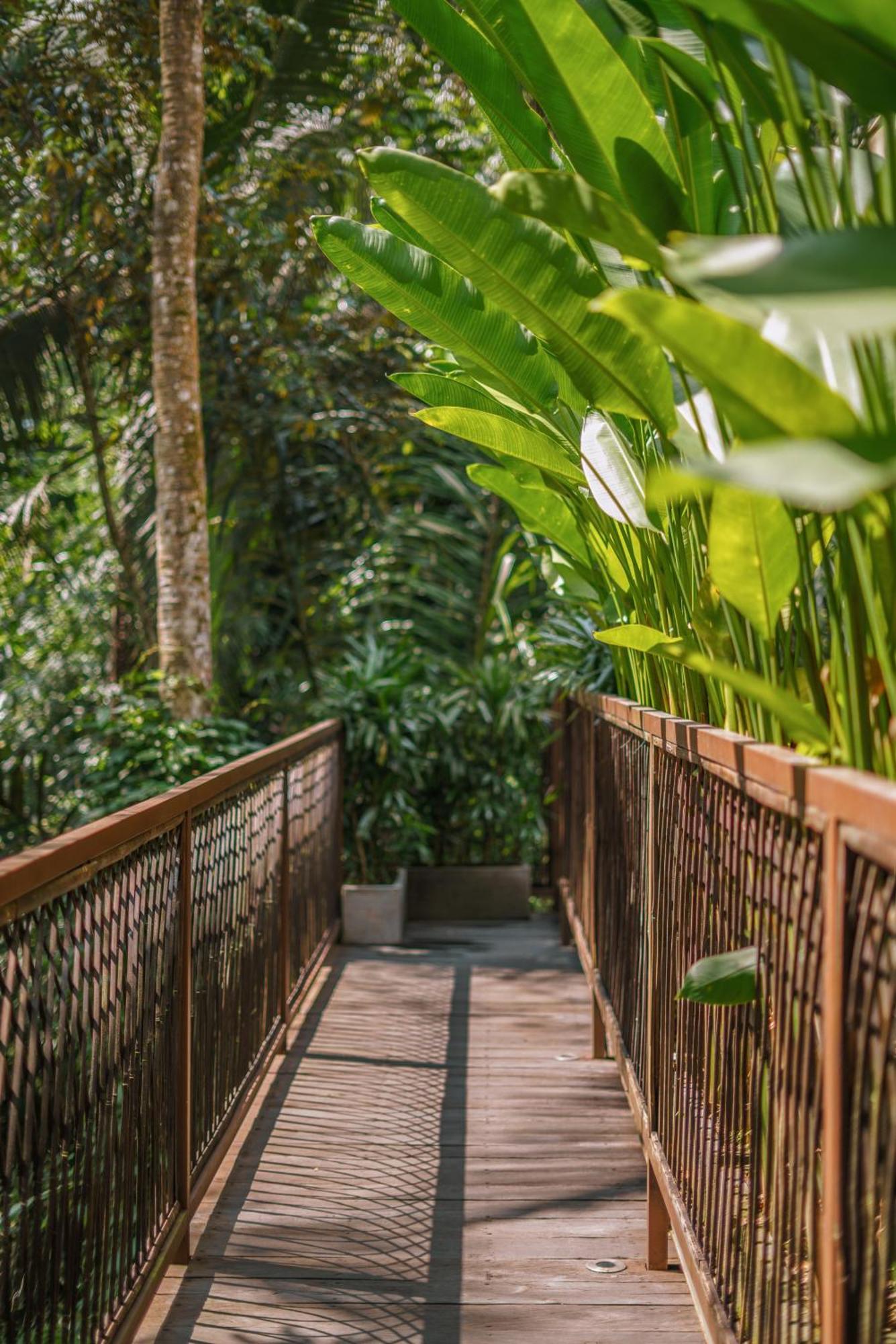 Kanva Ubud Tegallalang  Pokoj fotografie