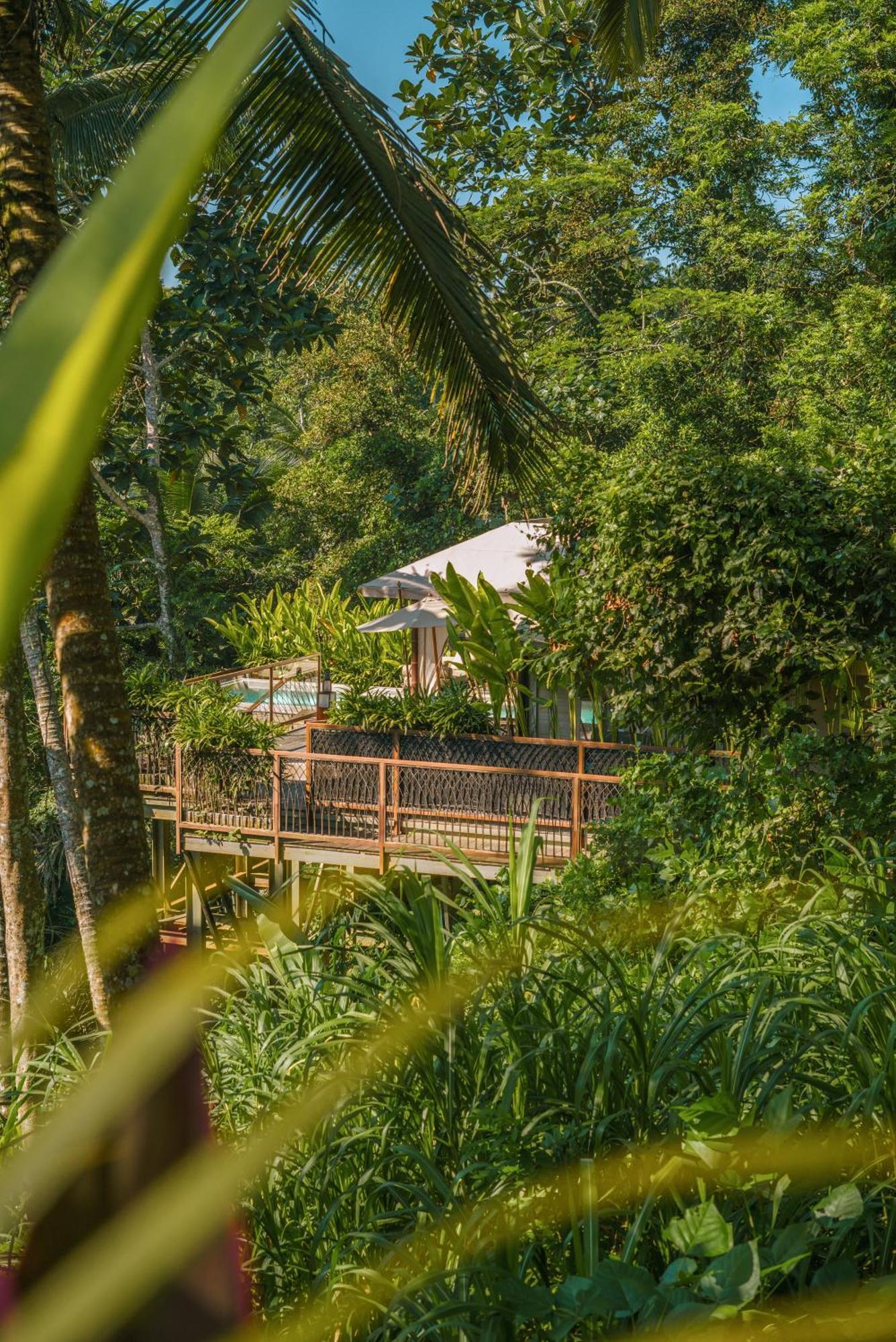 Kanva Ubud Tegallalang  Pokoj fotografie